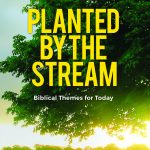 2498_1-Planted-by-the-Stream-2