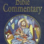 2199-THE-INTERNATIONAL-BIBLE-COMMENTARY-1