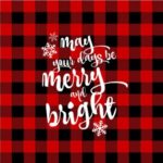 MAY YOUR DAYS BE MERRY & BRIGHT CUSHION COVER