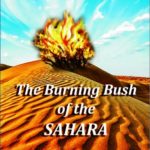 ATCP22-05-6714-The-Burning-Bush-of-the-Sahara